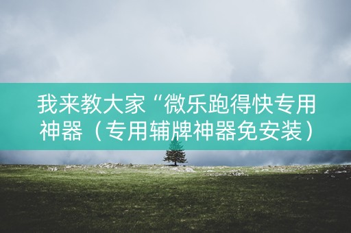 我来教大家“微乐跑得快专用神器（专用辅牌神器免安装）