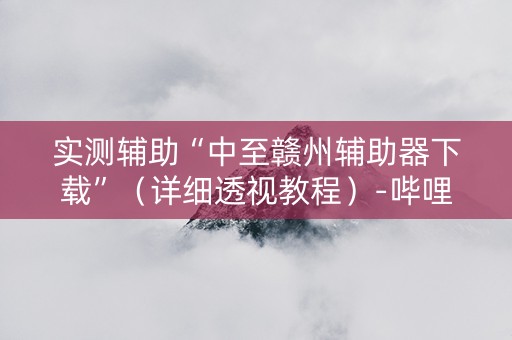 实测辅助“中至赣州辅助器下载”（详细透视教程）-哔哩哔哩