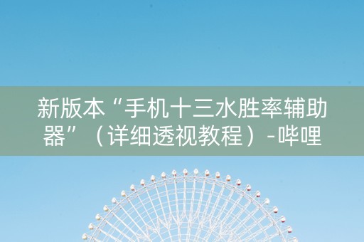 新版本“手机十三水胜率辅助器”（详细透视教程）-哔哩哔哩