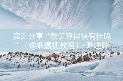 实测分享“微信跑得快有挂吗”（详细透视教程）-哔哩哔哩