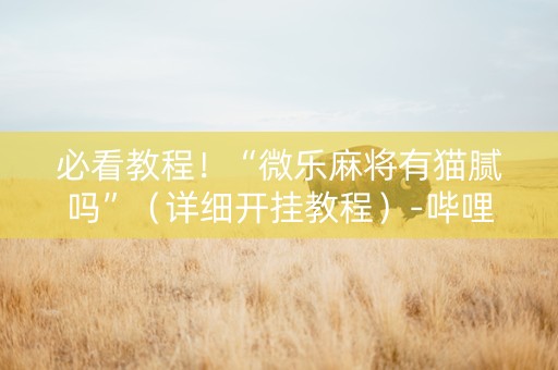 必看教程！“微乐麻将有猫腻吗”（详细开挂教程）-哔哩哔哩