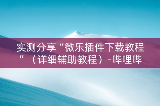实测分享“微乐插件下载教程”（详细辅助教程）-哔哩哔哩