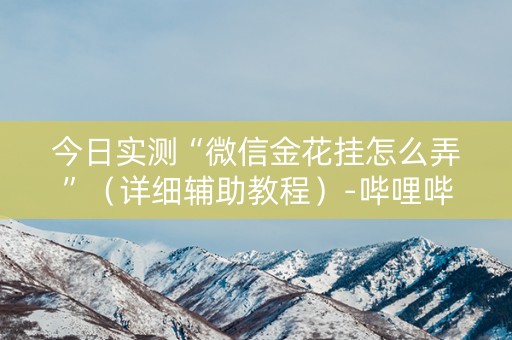 今日实测“微信金花挂怎么弄”（详细辅助教程）-哔哩哔哩