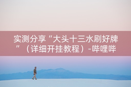 实测分享“大头十三水刷好牌”（详细开挂教程）-哔哩哔哩
