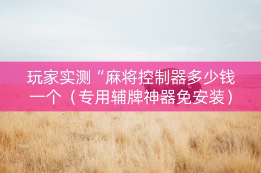 玩家实测“麻将控制器多少钱一个（专用辅牌神器免安装）