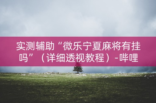 实测辅助“微乐宁夏麻将有挂吗”（详细透视教程）-哔哩哔哩