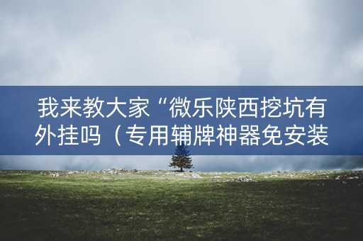 我来教大家“微乐陕西挖坑有外挂吗（专用辅牌神器免安装）