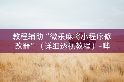 教程辅助“微乐麻将小程序修改器”（详细透视教程）-哔哩哔哩