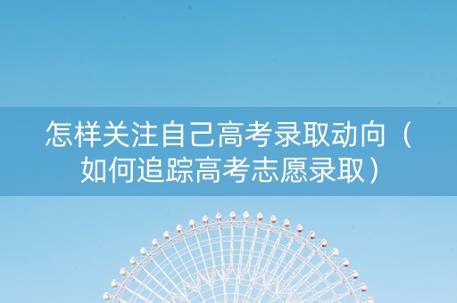 怎样关注自己高考录取动向（如何追踪高考志愿录取）