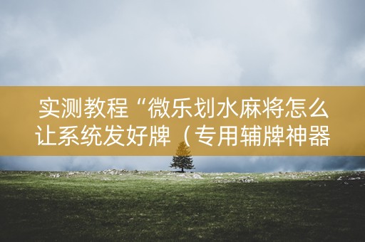 实测教程“微乐划水麻将怎么让系统发好牌（专用辅牌神器免安装）