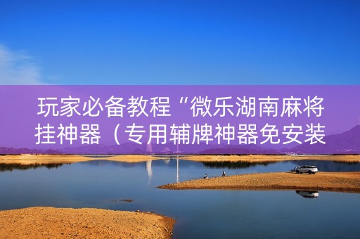玩家必备教程“微乐湖南麻将挂神器（专用辅牌神器免安装）
