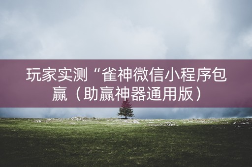 玩家实测“雀神微信小程序包赢（助赢神器通用版）