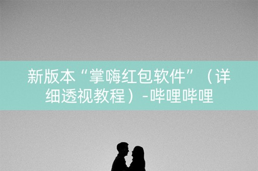 新版本“掌嗨红包软件”（详细透视教程）-哔哩哔哩