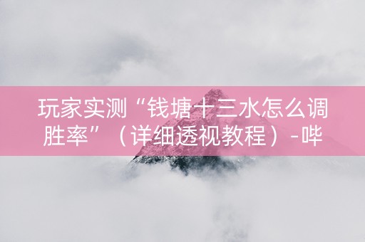 玩家实测“钱塘十三水怎么调胜率”（详细透视教程）-哔哩哔哩