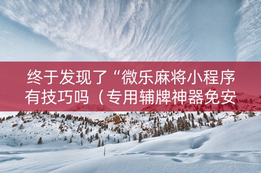 终于发现了“微乐麻将小程序有技巧吗（专用辅牌神器免安装）