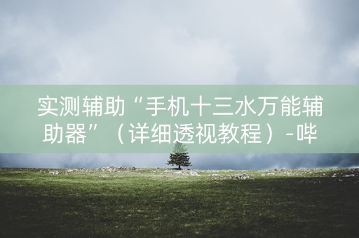 实测辅助“手机十三水万能辅助器”（详细透视教程）-哔哩哔哩