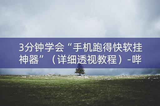 3分钟学会“手机跑得快软挂神器”（详细透视教程）-哔哩哔哩