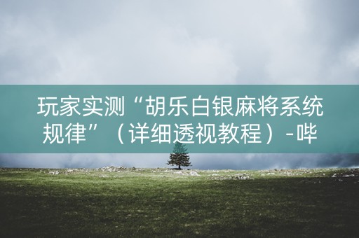 玩家实测“胡乐白银麻将系统规律”（详细透视教程）-哔哩哔哩