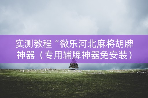 实测教程“微乐河北麻将胡牌神器（专用辅牌神器免安装）