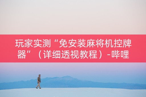 玩家实测“免安装麻将机控牌器”（详细透视教程）-哔哩哔哩