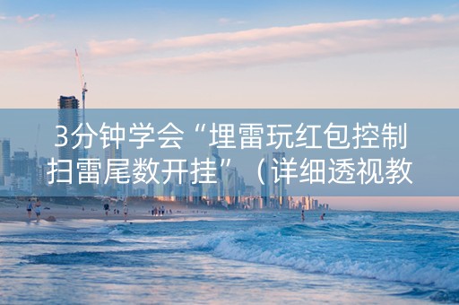 3分钟学会“埋雷玩红包控制扫雷尾数开挂”（详细透视教程）-哔哩哔哩