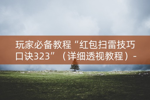 玩家必备教程“红包扫雷技巧口诀323”（详细透视教程）-哔哩哔哩