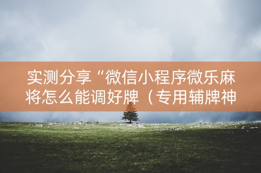 实测分享“微信小程序微乐麻将怎么能调好牌（专用辅牌神器免安装）