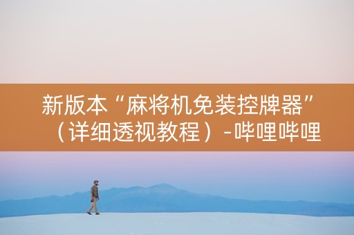 新版本“麻将机免装控牌器”（详细透视教程）-哔哩哔哩