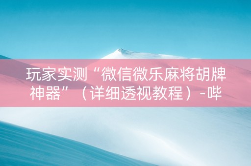 玩家实测“微信微乐麻将胡牌神器”（详细透视教程）-哔哩哔哩