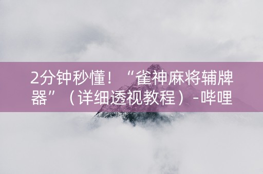 2分钟秒懂！“雀神麻将辅牌器”（详细透视教程）-哔哩哔哩