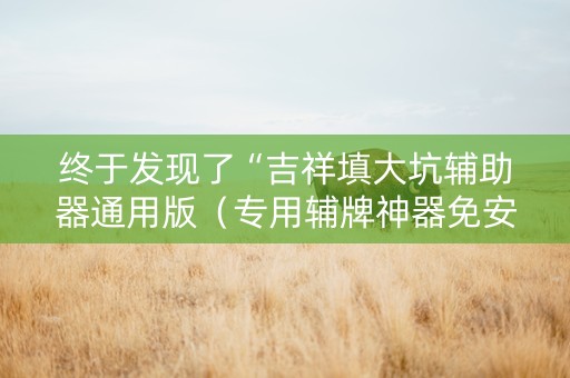 终于发现了“吉祥填大坑辅助器通用版（专用辅牌神器免安装）