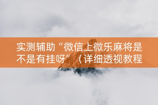 实测辅助“微信上微乐麻将是不是有挂呀”（详细透视教程）-哔哩哔哩