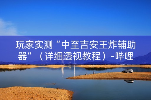 玩家实测“中至吉安王炸辅助器”（详细透视教程）-哔哩哔哩