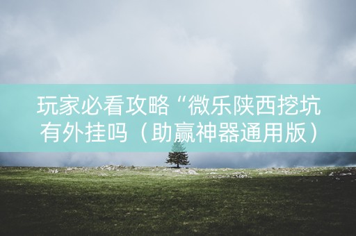 玩家必看攻略“微乐陕西挖坑有外挂吗（助赢神器通用版）