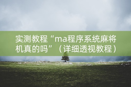 实测教程“ma程序系统麻将机真的吗”（详细透视教程）-哔哩哔哩