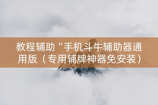 教程辅助“手机斗牛辅助器通用版（专用辅牌神器免安装）