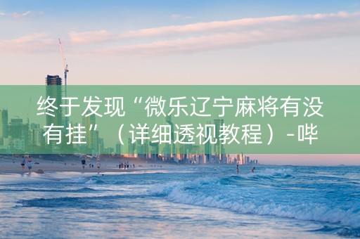 终于发现“微乐辽宁麻将有没有挂”（详细透视教程）-哔哩哔哩