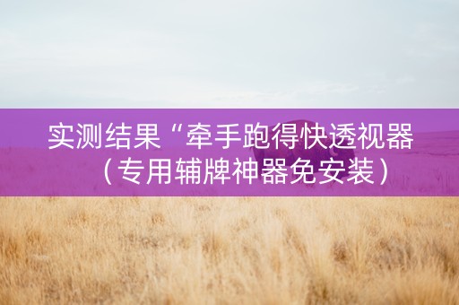 实测结果“牵手跑得快透视器（专用辅牌神器免安装）