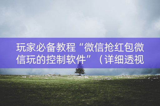 玩家必备教程“微信抢红包微信玩的控制软件”（详细透视教程）-哔哩哔哩