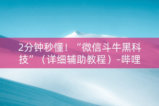 2分钟秒懂！“微信斗牛黑科技”（详细辅助教程）-哔哩哔哩