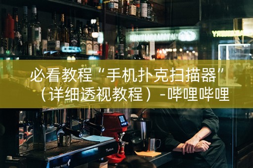 必看教程“手机扑克扫描器”（详细透视教程）-哔哩哔哩