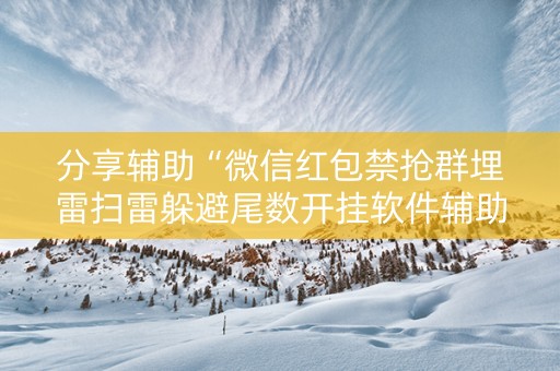 分享辅助“微信红包禁抢群埋雷扫雷躲避尾数开挂软件辅助”（详细透视教程）-哔哩哔哩