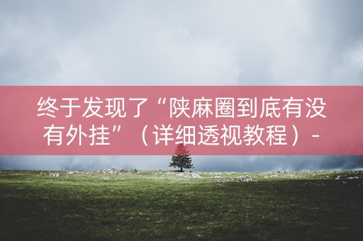 终于发现了“陕麻圈到底有没有外挂”（详细透视教程）-哔哩哔哩
