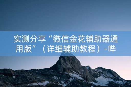实测分享“微信金花辅助器通用版”（详细辅助教程）-哔哩哔哩