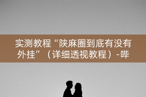 实测教程“陕麻圈到底有没有外挂”（详细透视教程）-哔哩哔哩