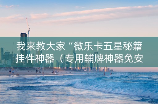 我来教大家“微乐卡五星秘籍挂件神器（专用辅牌神器免安装）
