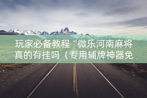 玩家必备教程“微乐河南麻将真的有挂吗（专用辅牌神器免安装）