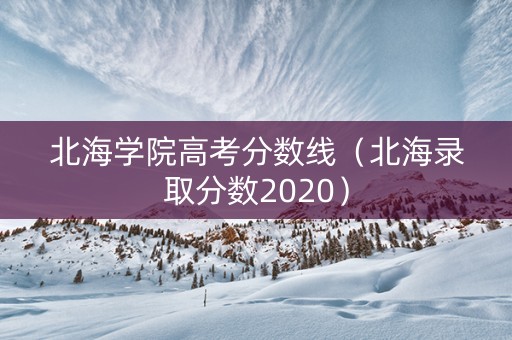 北海学院高考分数线（北海录取分数2020）