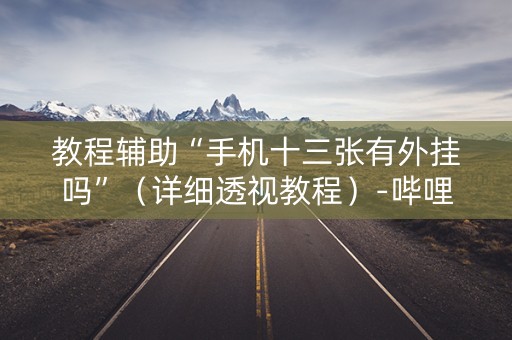 教程辅助“手机十三张有外挂吗”（详细透视教程）-哔哩哔哩