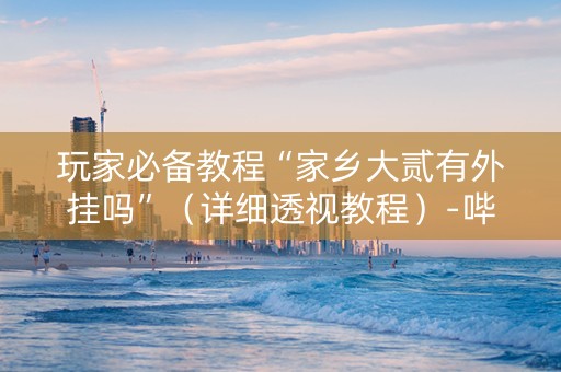 玩家必备教程“家乡大贰有外挂吗”（详细透视教程）-哔哩哔哩